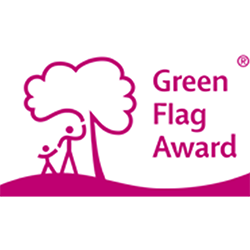 Green Flag Image